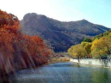 新澳天天开奖资料大全旅游团，中国黑网